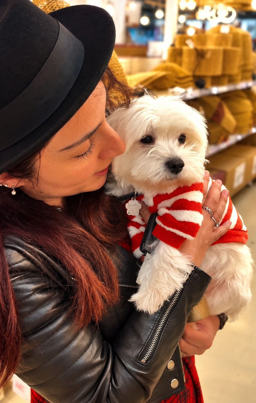 Une femme serre contre elle un petit chien blanc en pull rayé